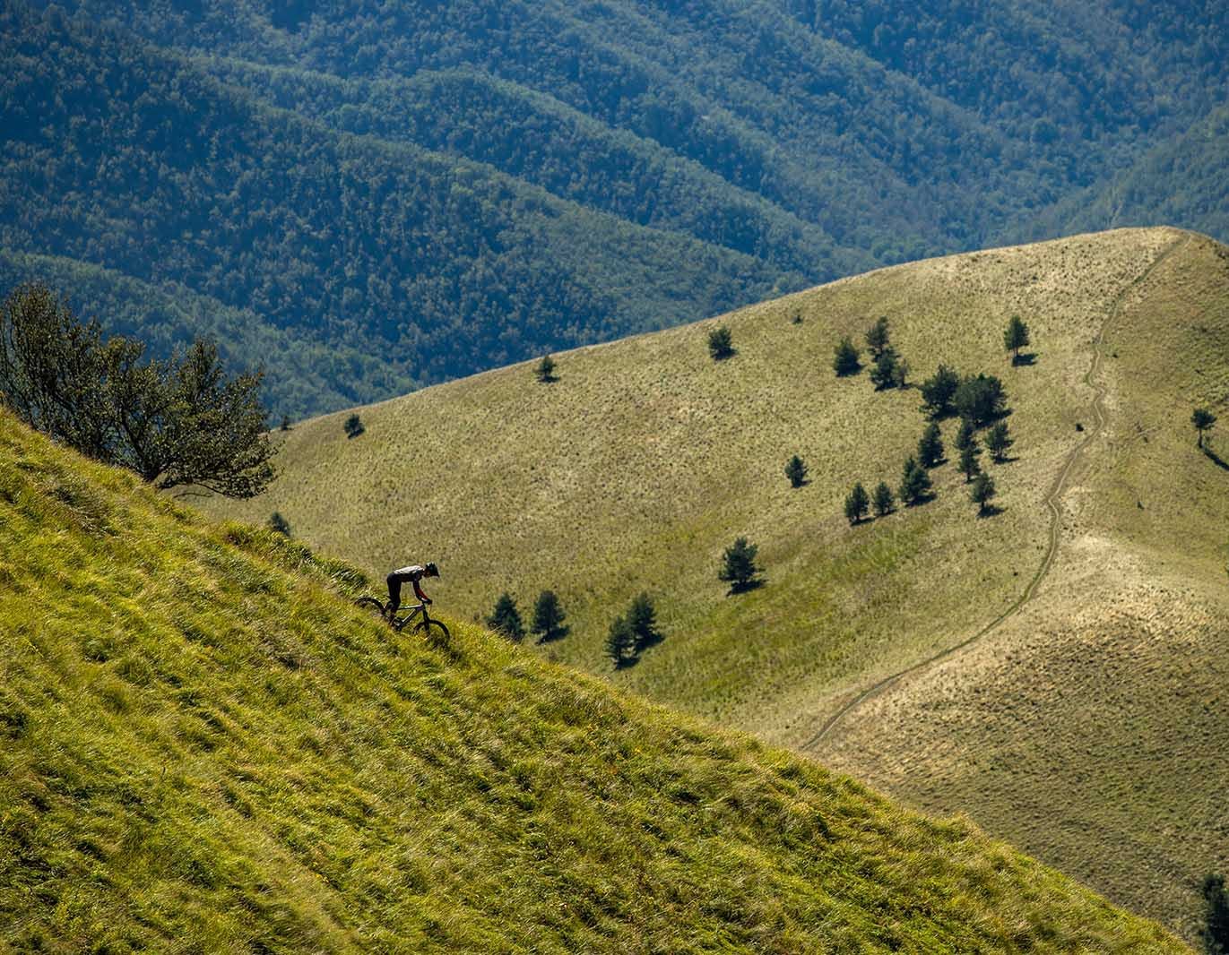 Mountain bike trail in the hills