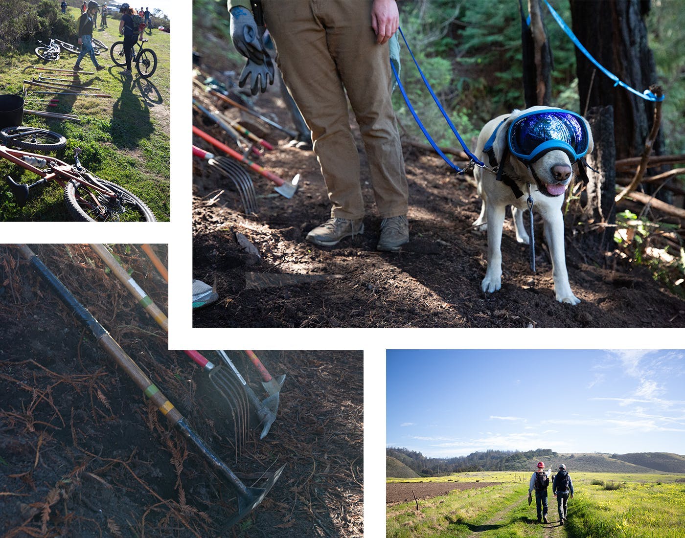 A collage of 4 trail building focused images
